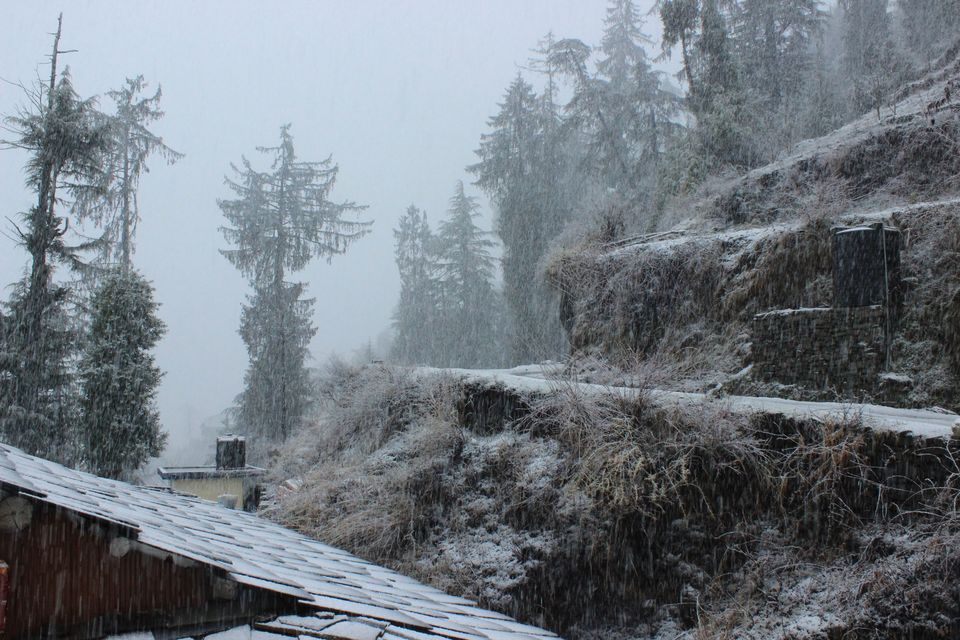 Photo of Shoja and Jalori Pass Trek by Shubhodeep Datta