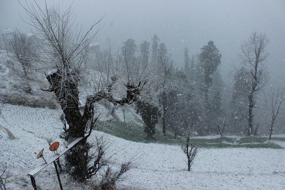 Photo of Shoja and Jalori Pass Trek by Shubhodeep Datta