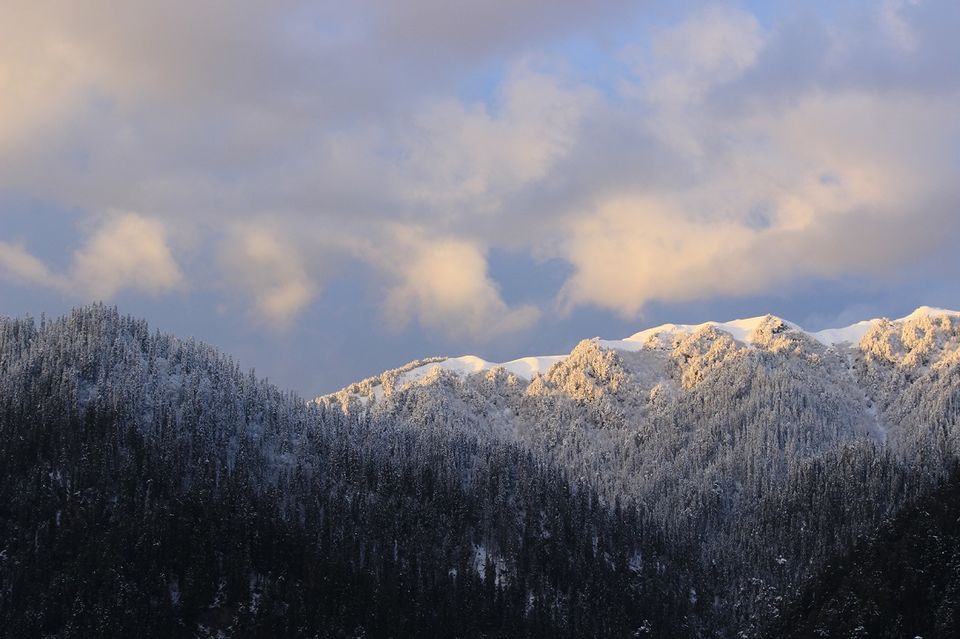 Photo of Shoja and Jalori Pass Trek by Shubhodeep Datta
