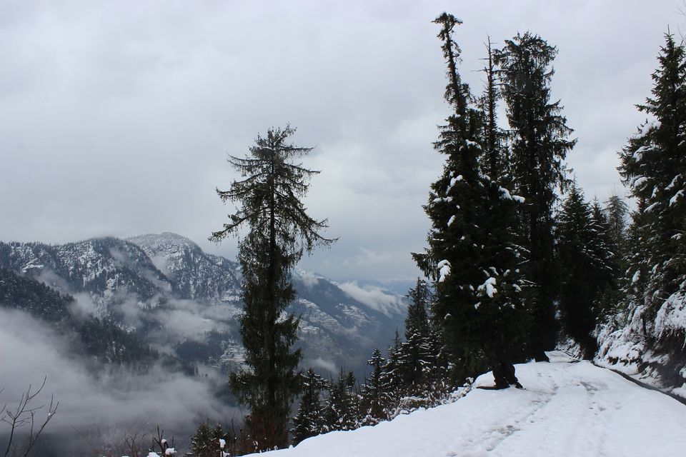Photo of Shoja and Jalori Pass Trek by Shubhodeep Datta