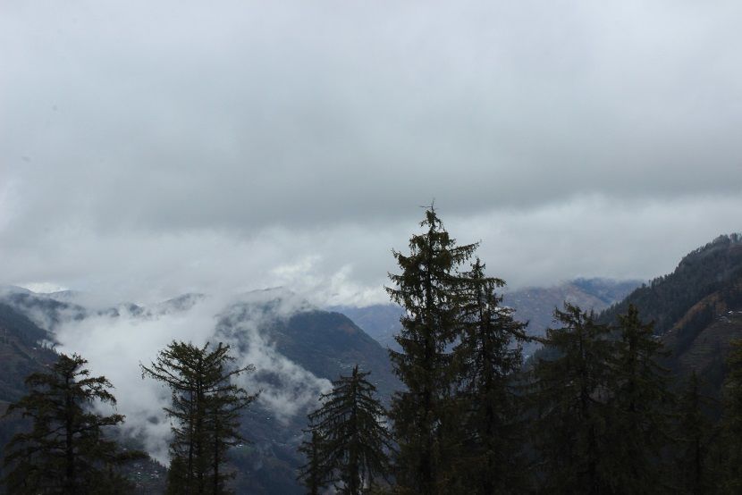 Photo of Shoja and Jalori Pass Trek by Shubhodeep Datta