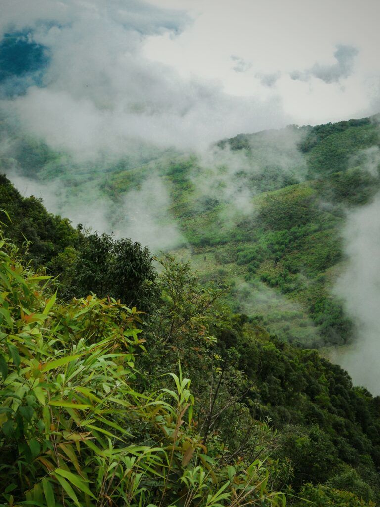Photo of Wellness wisdom from the hills of Meghalaya... 2/2 by Bhagyashree Joshi @Thepoonagirl
