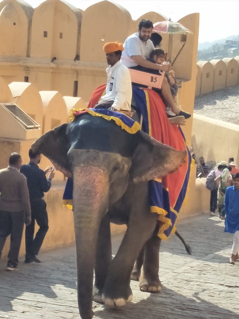 Photo of Jaipur : Royalty of Rajasthan Part-1 by Harshit Sisodia