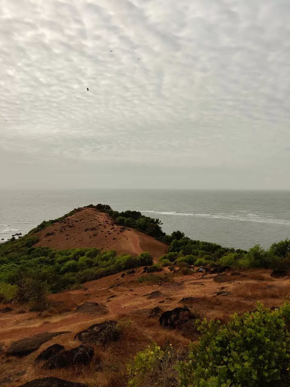 Photo of Road Trip to Goa with our Pet!!! by Travelling Paw