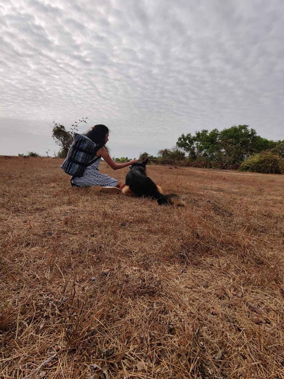 Photo of Road Trip to Goa with our Pet!!! by Travelling Paw
