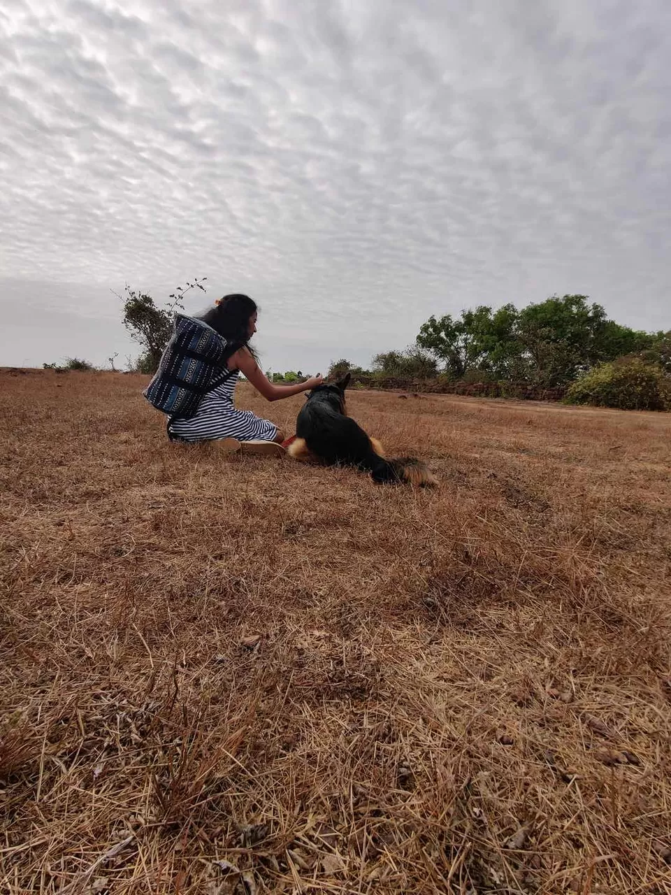 Photo of Road Trip to Goa with our Pet!!! by Travelling Paw