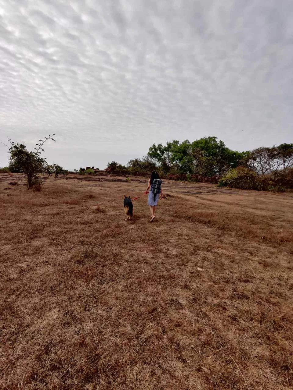 Photo of Road Trip to Goa with our Pet!!! by Travelling Paw