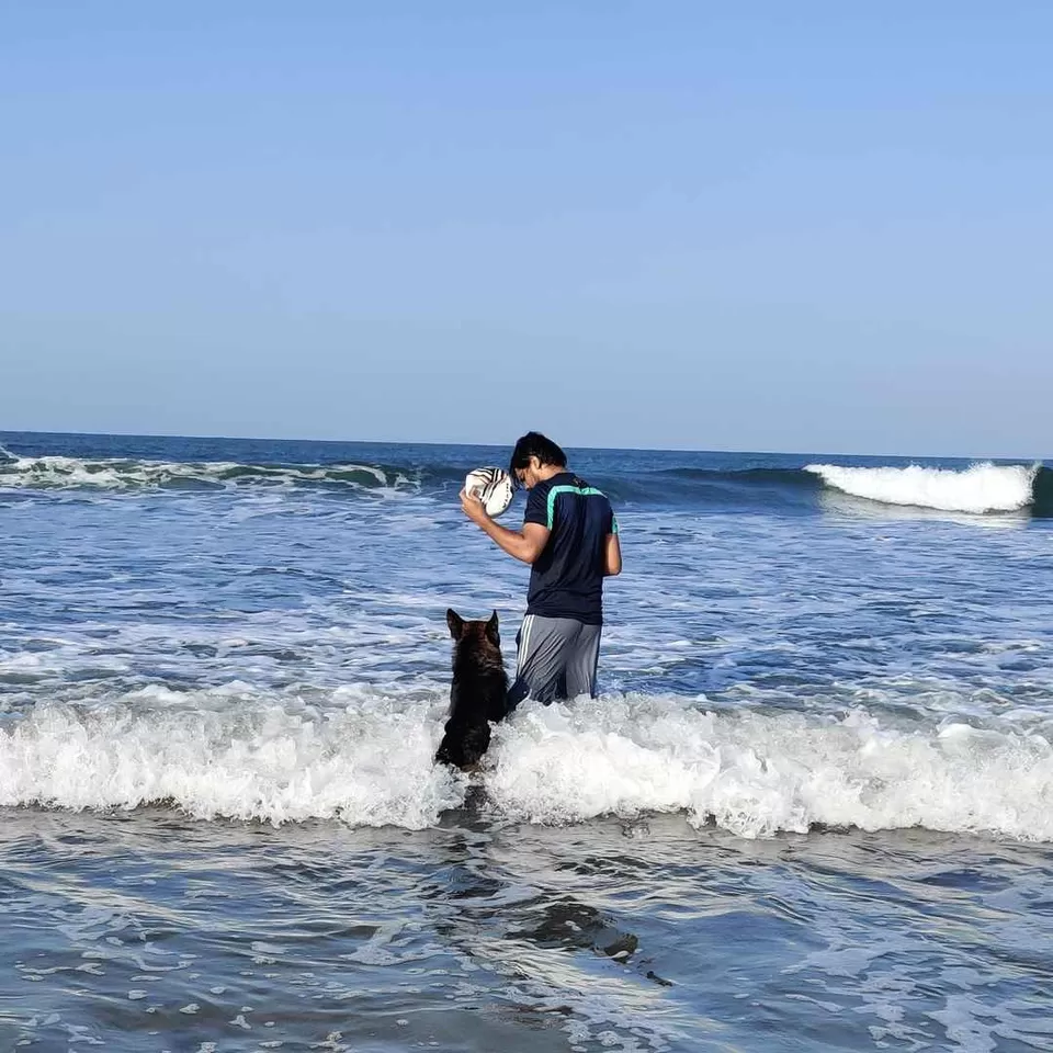Photo of Marbela Beach, Off The Morjim-Ashwem Road, Morjim, Goa, India by Travelling Paw