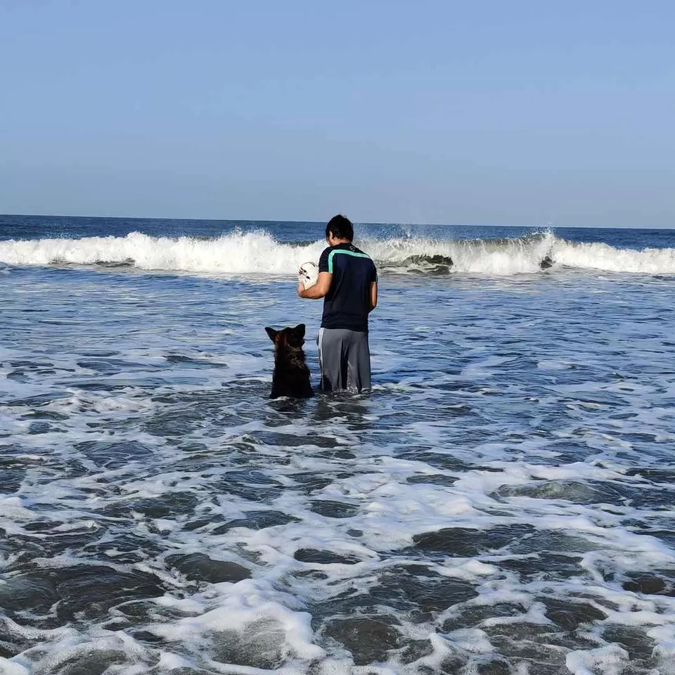 Photo of Marbela Beach, Off The Morjim-Ashwem Road, Morjim, Goa, India by Travelling Paw