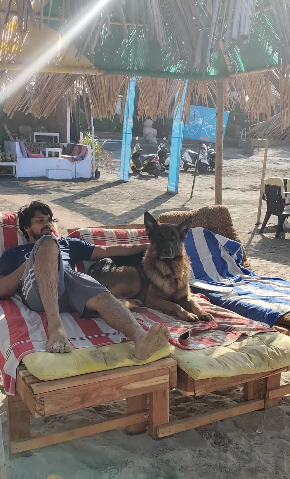 Photo of Road Trip to Goa with our Pet!!! by Travelling Paw