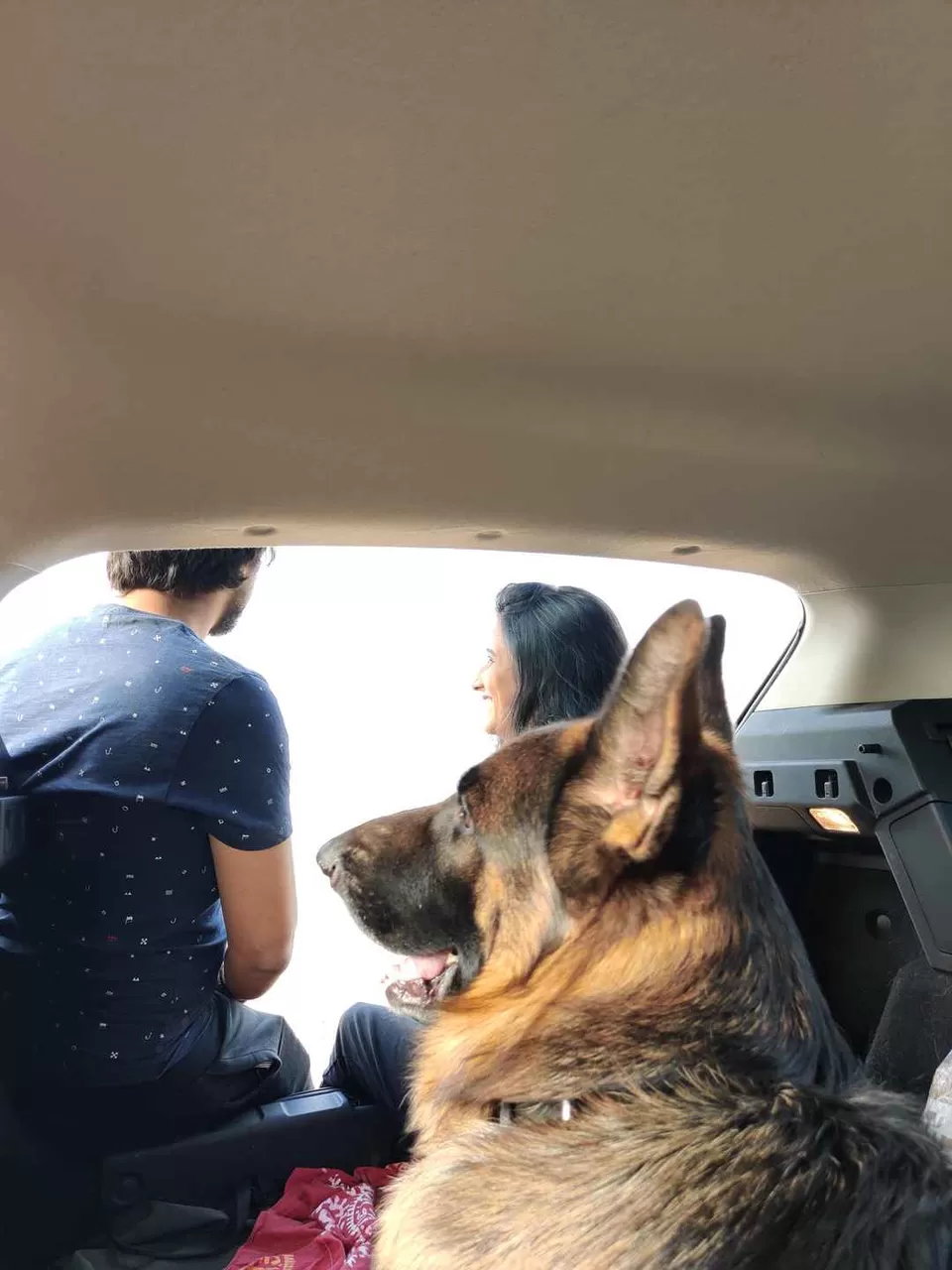 Photo of Road Trip to Goa with our Pet!!! by Travelling Paw