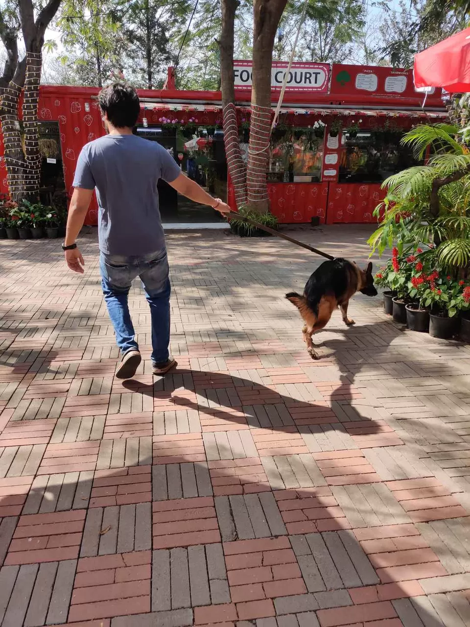 Photo of Road Trip to Goa with our Pet!!! by Travelling Paw