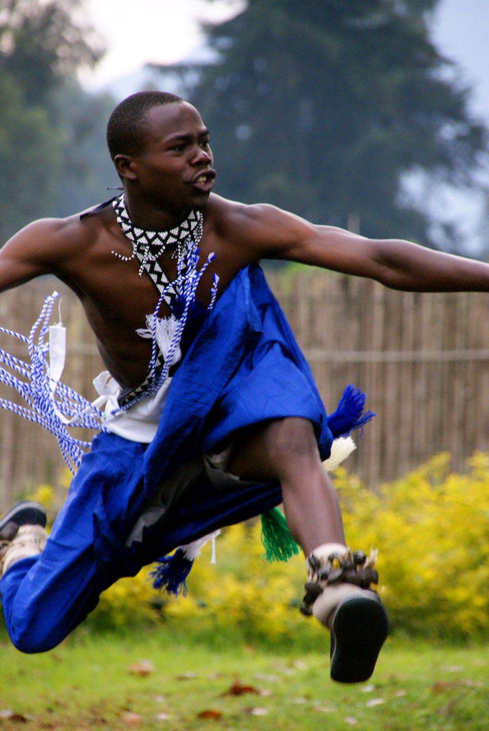 Photo of The Gorilla Loop - Kenya, Uganda & Rwanda 8/22 by David Patrick