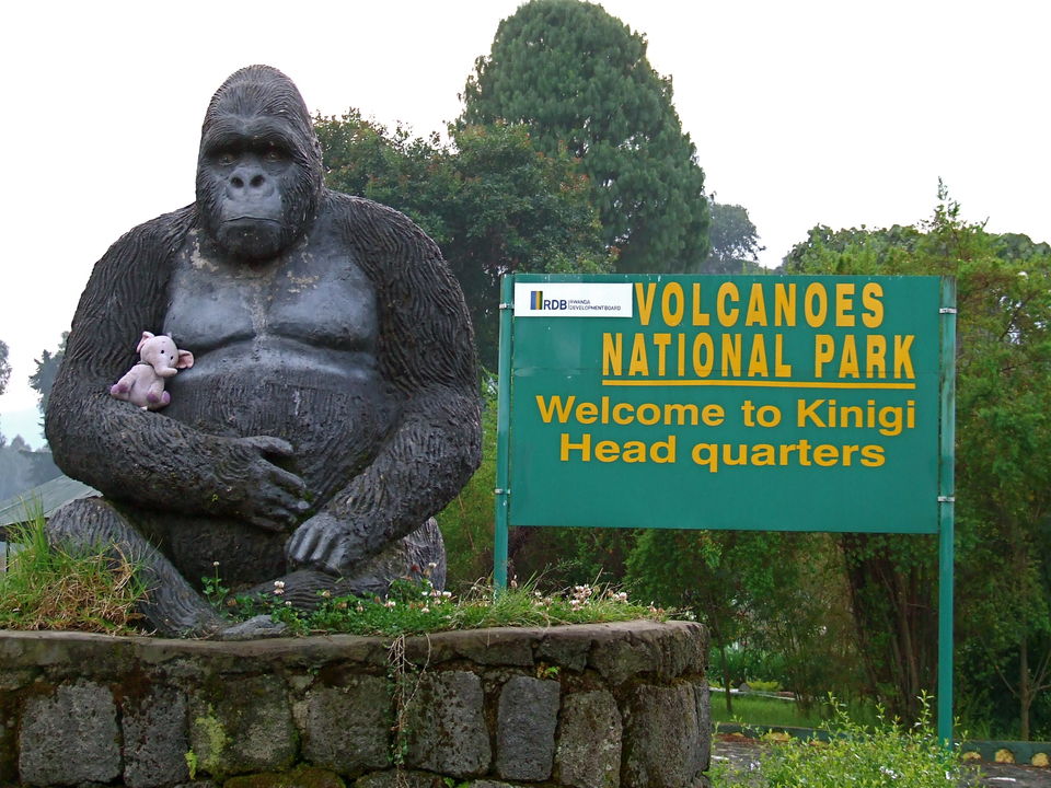 Photo of The Gorilla Loop - Kenya, Uganda & Rwanda 9/22 by David Patrick