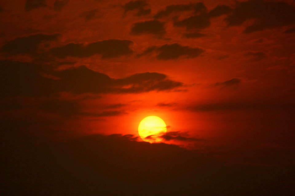 Photo of The Gorilla Loop - Kenya, Uganda & Rwanda 12/22 by David Patrick