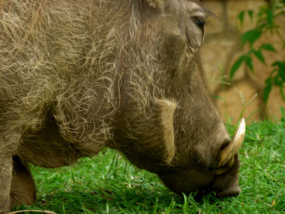 Photo of The Gorilla Loop - Kenya, Uganda & Rwanda 20/22 by David Patrick
