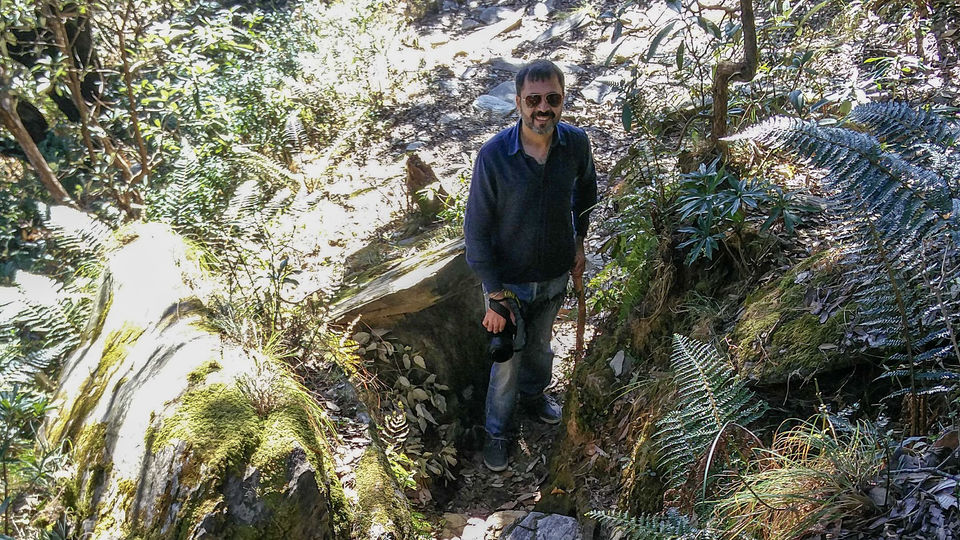 Photo of This Dharamshala trek along the Dhauladhar mountains is perfect for beginners! 2/5 by theNaveenSoni