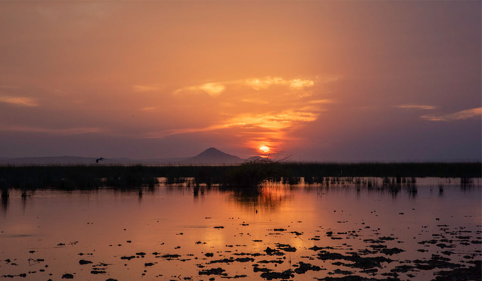 Photo of Rann of Kutch on Your Mind? Dont Forget to Catch a Heavenly Sunset at Chhari Dhandh! by theNaveenSoni