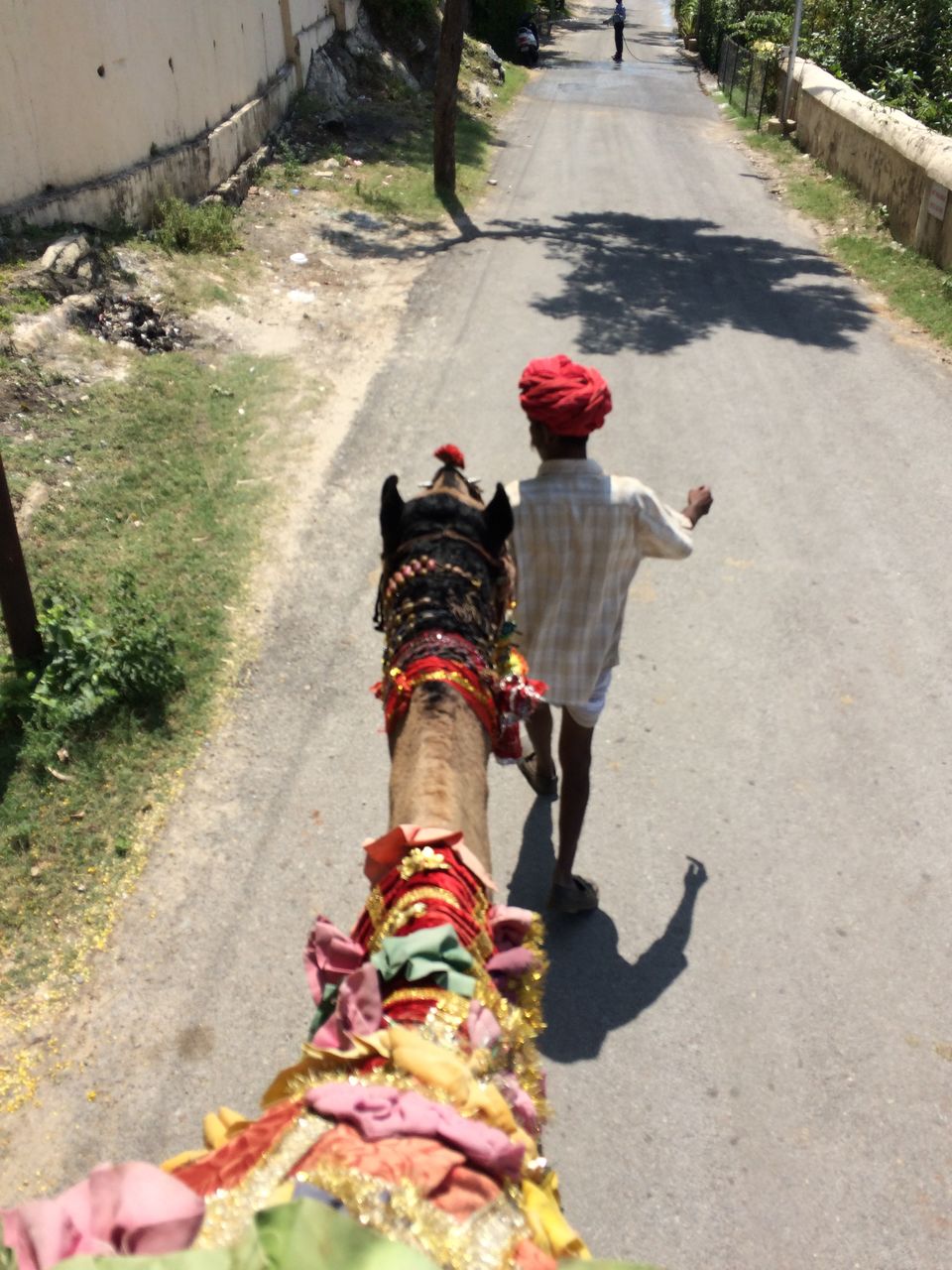 Photo of Escapade to Lakes : Udaipur 3/9 by Shivangi Johri