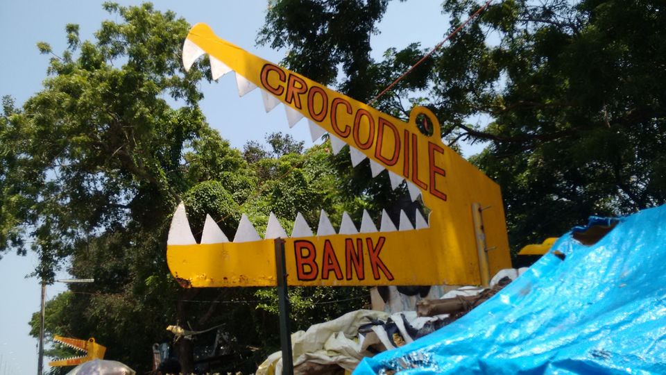 Photo of The Madras Crocodile Bank Trust and Centre for Herpetology, Semencheri, Tamil Nadu, India by Shivangi Johri