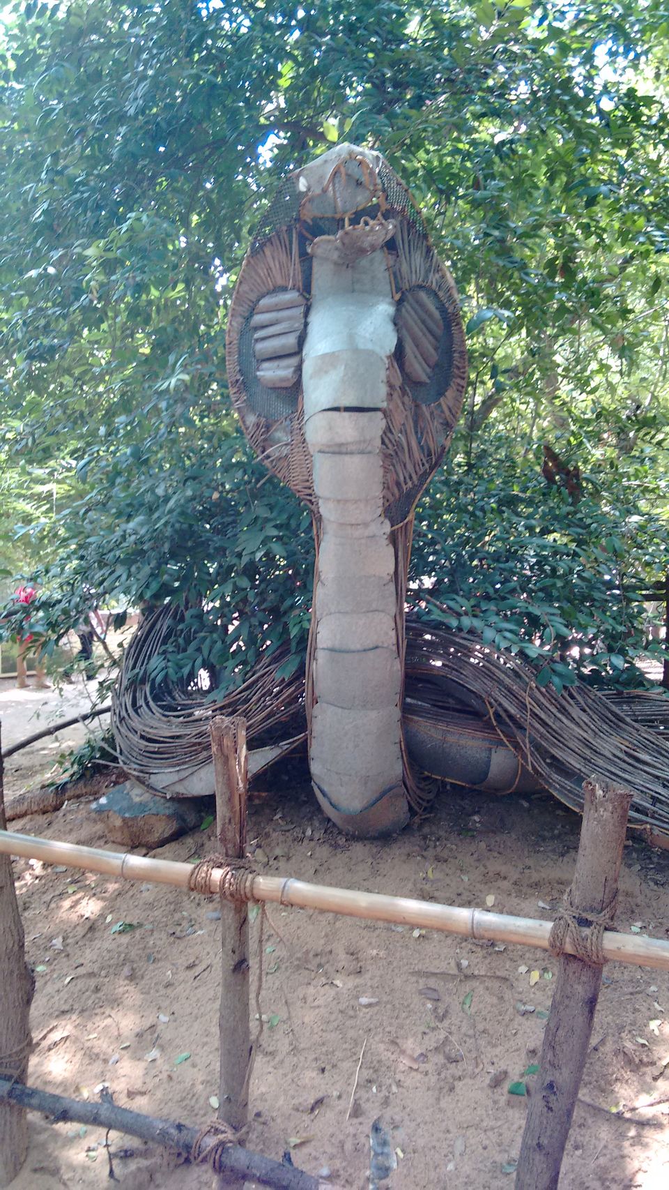 Photo of The Madras Crocodile Bank Trust and Centre for Herpetology, Semencheri, Tamil Nadu, India by Shivangi Johri