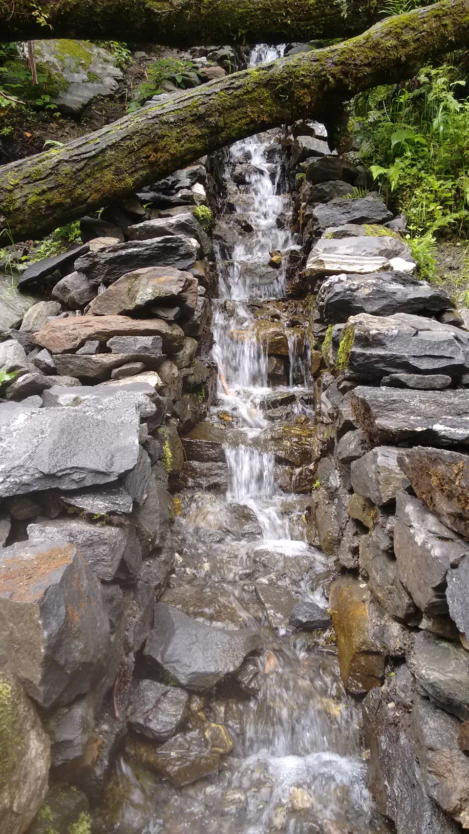 Photo of Mesmerizing Manali - Kheerganga Trek : Part I by Shivangi Johri