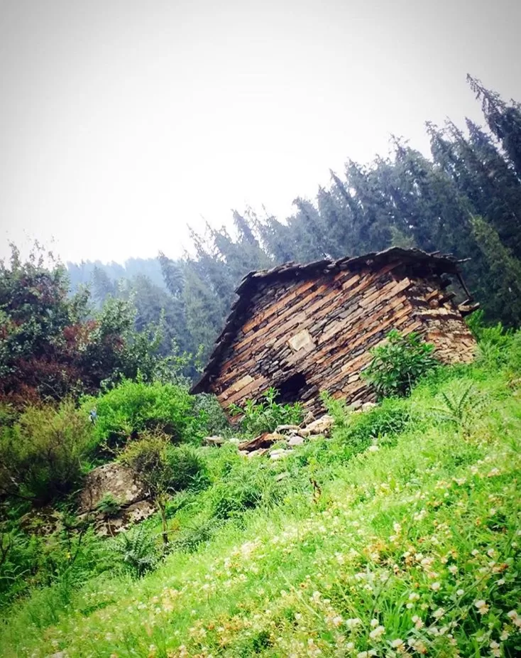 Photo of Mesmerizing Manali - Kheerganga Trek : Part I by Shivangi Johri