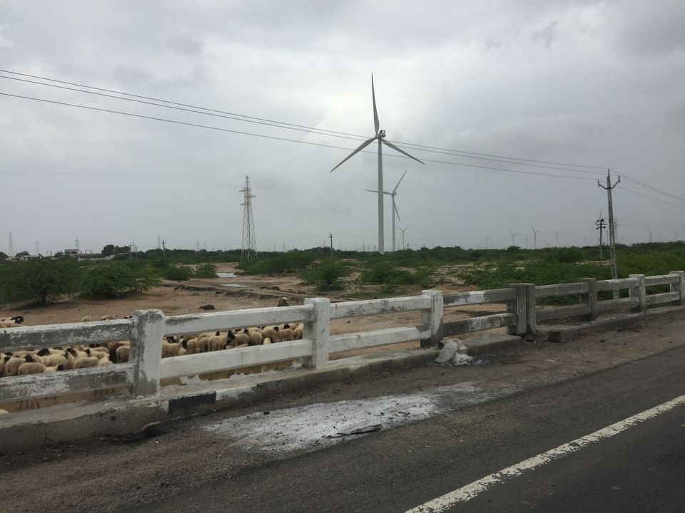 Photo of Gandhinagar, Gujarat, India by Shivangi Johri
