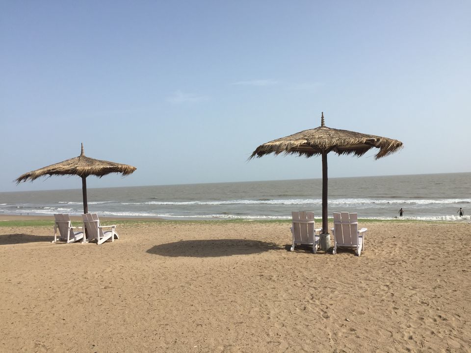 Photo of #BestOfTravel -Mandvi : Hidden Paradise of Gujarat by Shivangi Johri