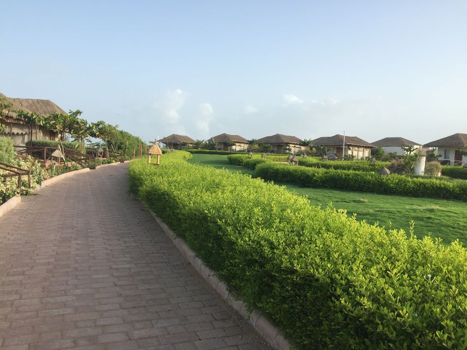 Photo of #BestOfTravel -Mandvi : Hidden Paradise of Gujarat by Shivangi Johri