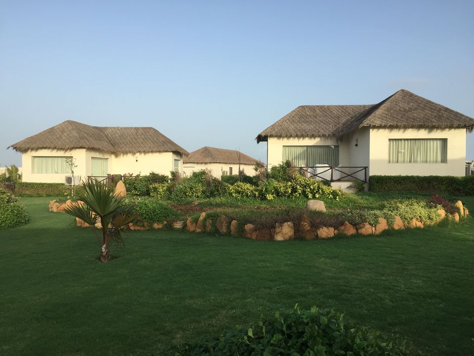 Photo of #BestOfTravel -Mandvi : Hidden Paradise of Gujarat by Shivangi Johri