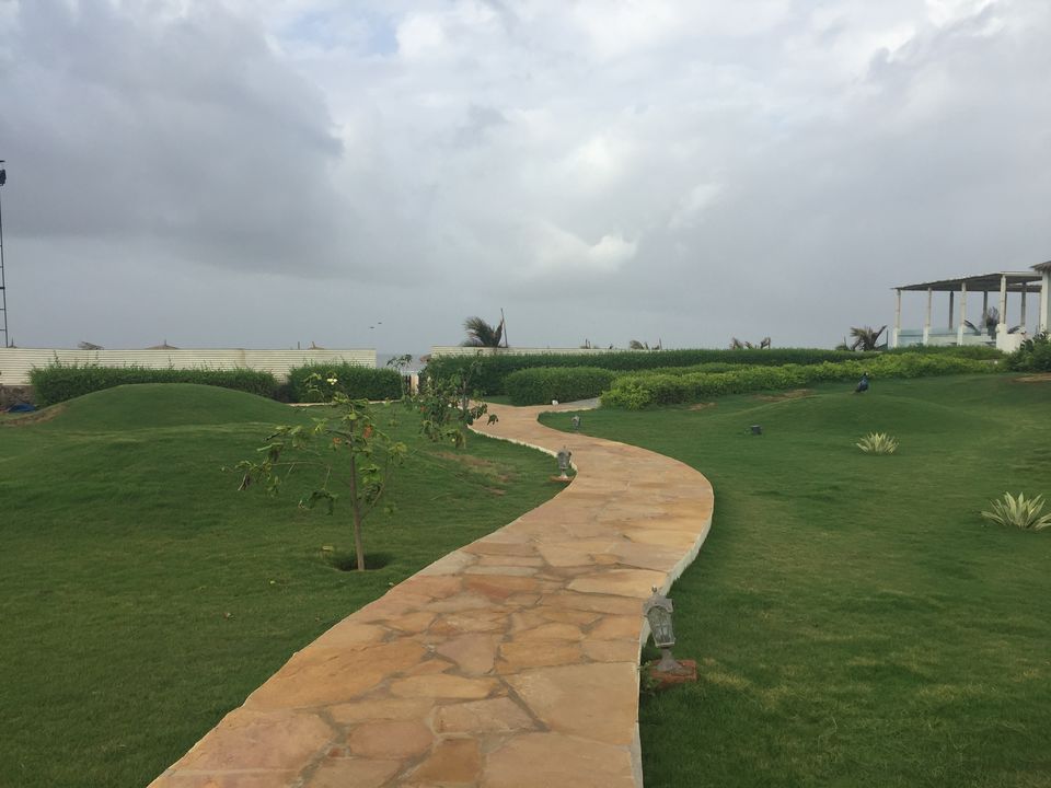 Photo of #BestOfTravel -Mandvi : Hidden Paradise of Gujarat by Shivangi Johri