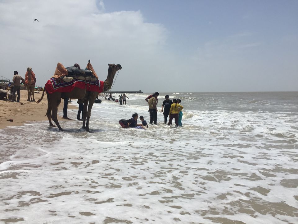 Photo of #BestOfTravel -Mandvi : Hidden Paradise of Gujarat by Shivangi Johri