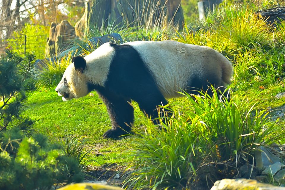 Photo of Zoo Berlin, Hardenbergplatz, Berlin, Germany by Shivangi Johri