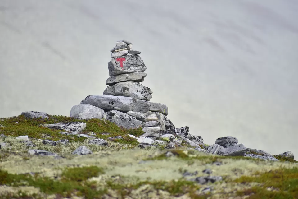 Photo of Enchanting Conquest Over Mountains - A hike to remember in Rondvassbu by Shivangi Johri