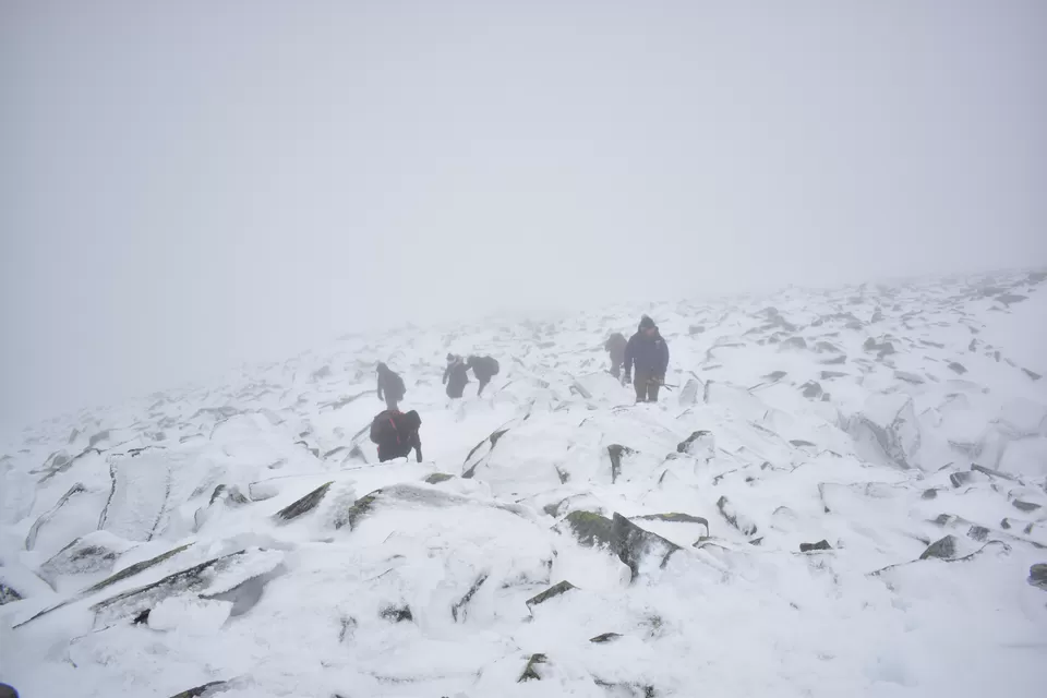 Photo of Enchanting Conquest Over Mountains - A hike to remember in Rondvassbu by Shivangi Johri