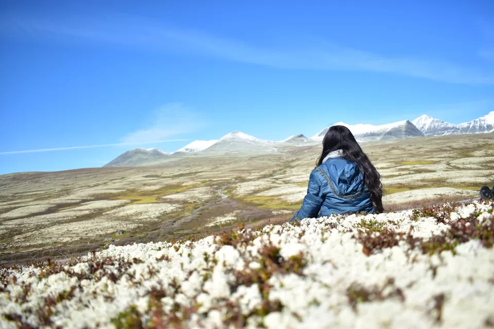 Photo of Enchanting Conquest Over Mountains - A hike to remember in Rondvassbu by Shivangi Johri