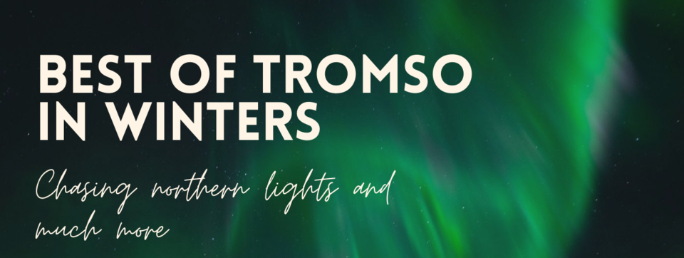 Photo of Chasing Northern Lights and much more in Tromsø #BestTripEver by Shivangi Johri
