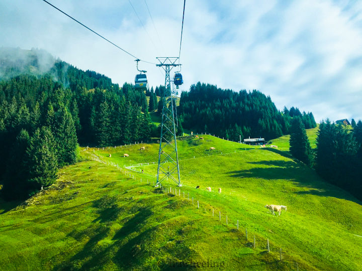 Photo of Grindelwald First - An Unplanned Day in Swiss Village - Trawheeling by Shivangi Johri