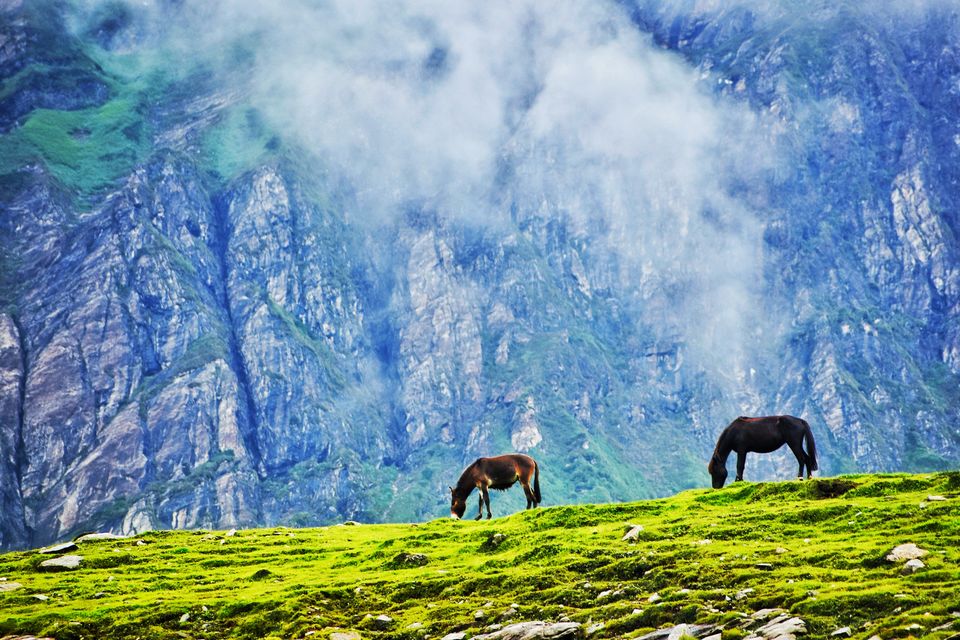 Photo of Stranded in the Middle of Nowhere, I Woke Up To The Doors of Heaven In Spiti by Shivangi Johri