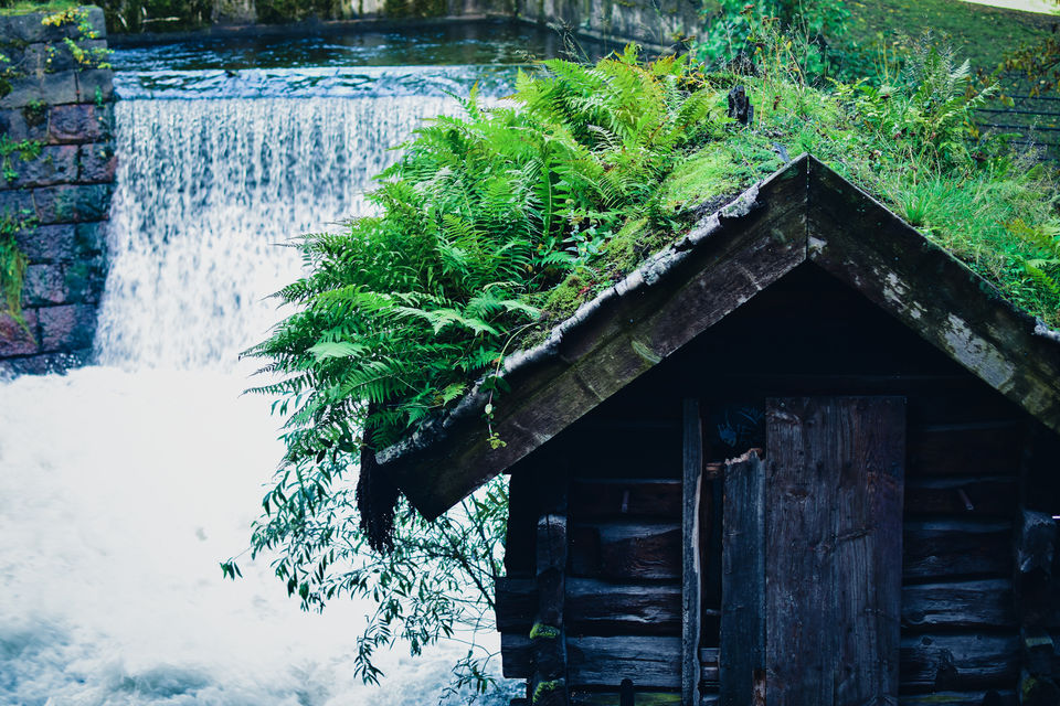 Photo of Living near a waterfall is never boring! #WaterfallStory 5/5 by Shivangi Johri
