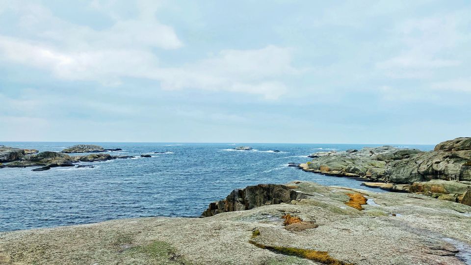 Photo of I Gifted Myself a Trip to Lesser Known World’s End and here is how you can do the same 2/6 by Shivangi Johri
