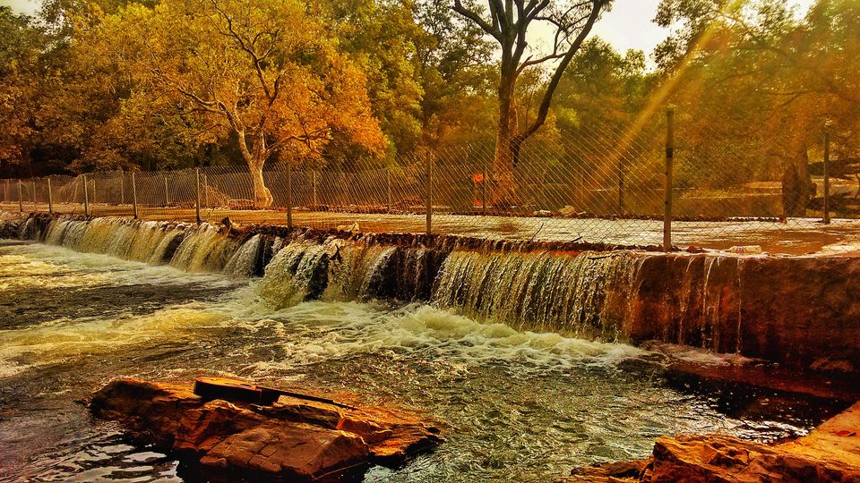 Photo of Gujarat on Two Wheels - These epic road trips are perfect for you 3/10 by Shivangi Johri