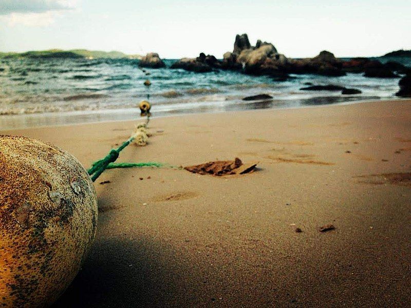 Photo of Awesome Things to do in Trincomalee, Sri Lanka – A Perfect Getaway 5/5 by travelingworldwide123