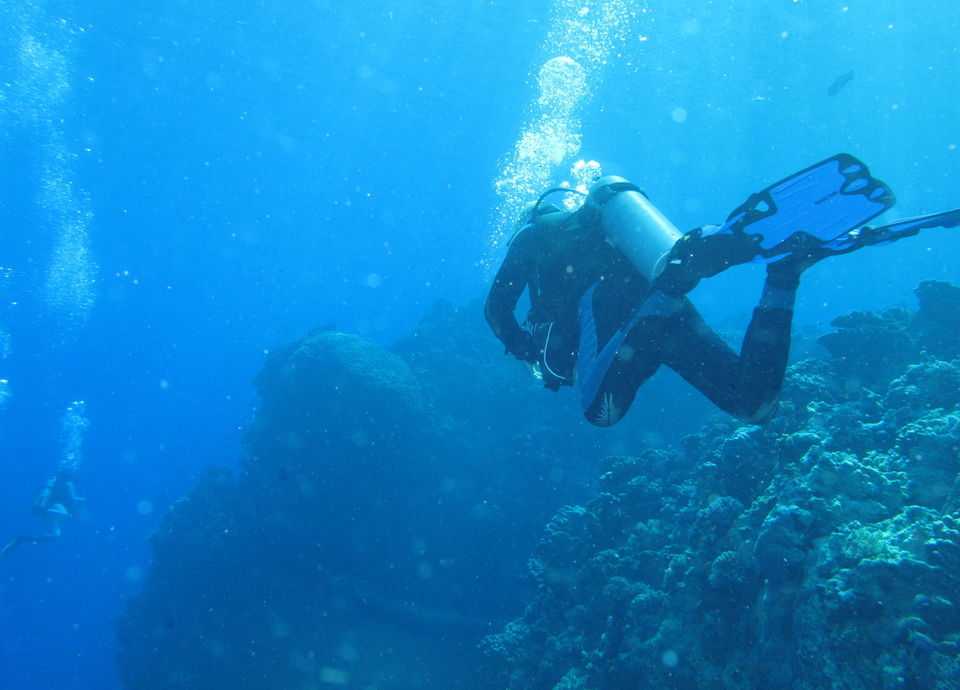 Photo of The hidden gem of the Diving world – UV night diving, a must-try! 1/1 by travelingworldwide123