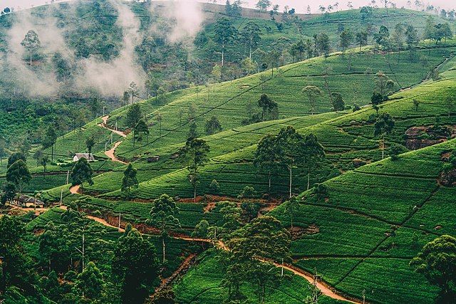 Photo of The Heart of British Ceylon – Nuwara Eliya, Sri Lanka by travelingworldwide123