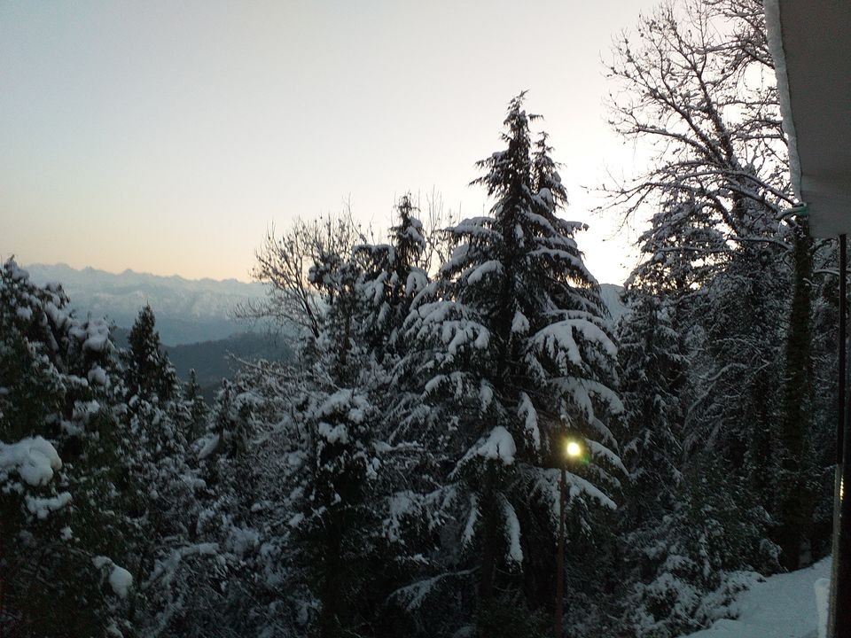 Photo of Kalatop, Himachal Pradesh, India by Pratik Shah (Dhannu)