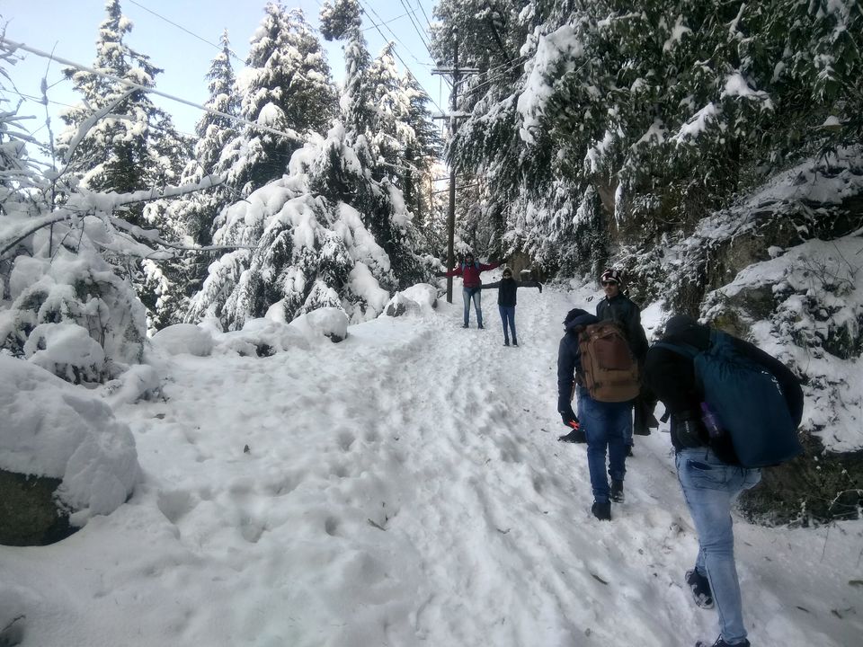 Photo of Kalatop, Himachal Pradesh, India by Pratik Shah (Dhannu)