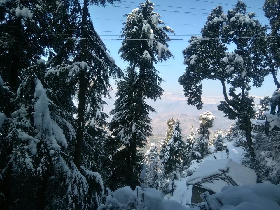 Photo of Kalatop, Himachal Pradesh, India by Pratik Shah (Dhannu)