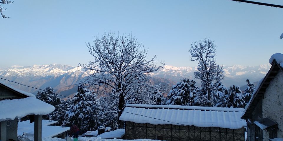 Photo of Kalatop, Himachal Pradesh, India by Pratik Shah (Dhannu)